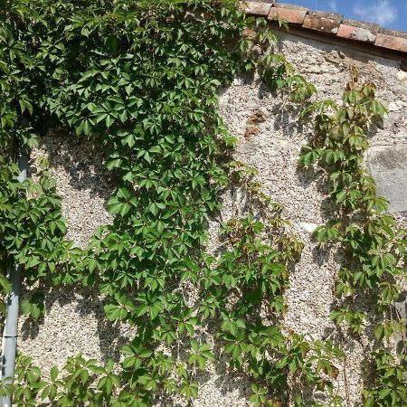 Le Petit Cochon Chambre D' Hotes Haims Exterior photo